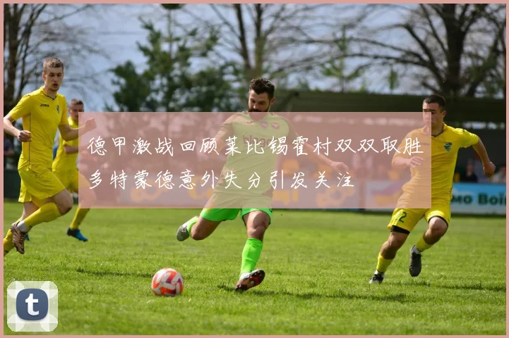 德甲激战回顾莱比锡霍村双双取胜多特蒙德意外失分引发关注