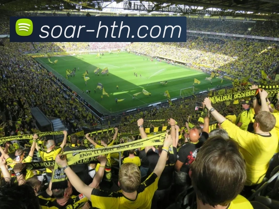 hth体育APP 封面图